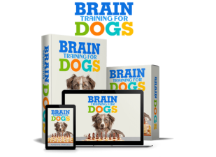 brain training for dogs